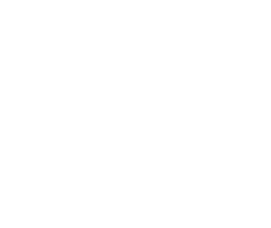 FolderWave Logo